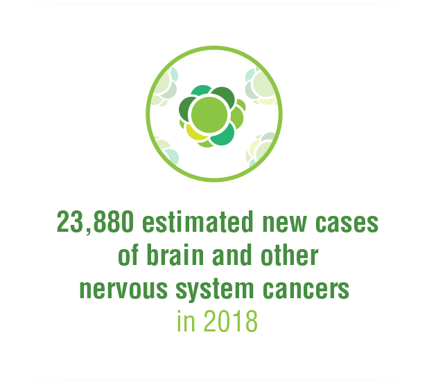 New Brain Cancer Cases Infographic image