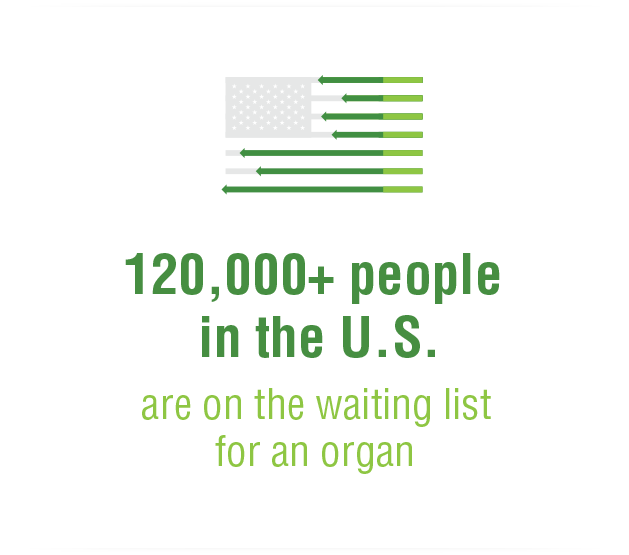 Organ Infographic image