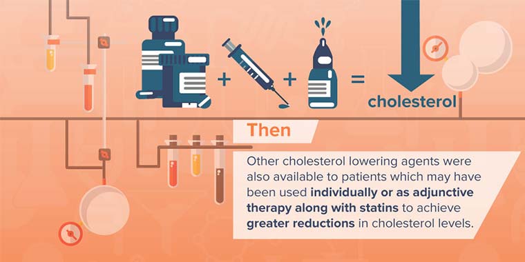 High Cholesterol Infographic image 3